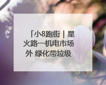 小8跑街｜星火路一机电市场外 绿化带垃圾长期未清